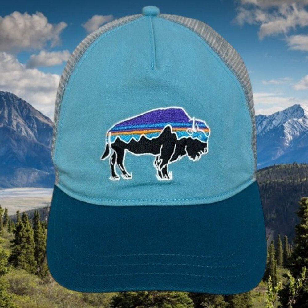 Patagonia Fitz Roy Bison Green Aqua Blue Gray Mesh Snapback Tucker Hat Cap OSFA